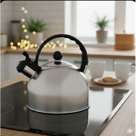 Czajnik nierdzewny 2,5L Daily Satin