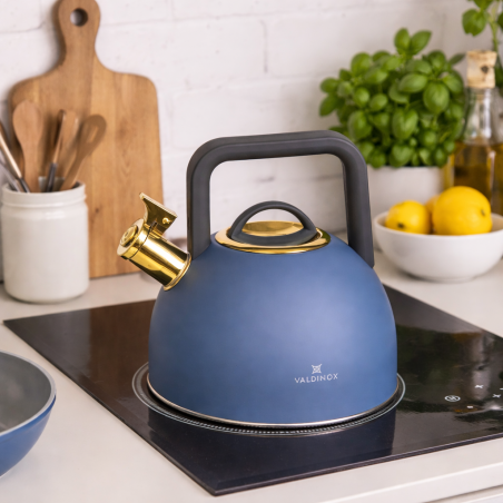Czajnik na indukcję za stali nierdzewnej Valdinox 2,5L